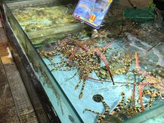 水产区-渔民新村(番禺总店)