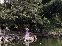 -西苑公园