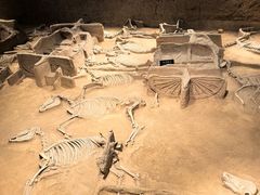 -洛阳周王城天子驾六博物馆