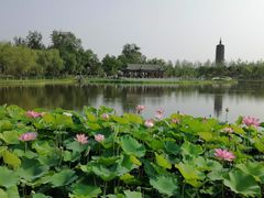 -西海子公园