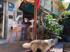 -豆舞咖啡(民乐路店)
