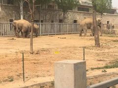 -石家庄市动物园