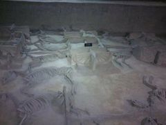 -洛阳周王城天子驾六博物馆