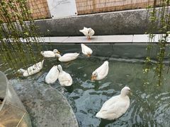-洛阳龙门海洋馆