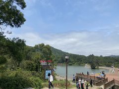 -大姆山草场