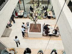 -大树餐厅(红旗街万达店)