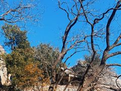 -鹫峰国家森林公园