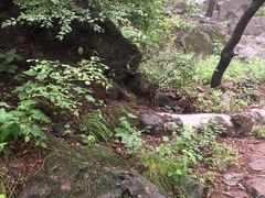 -阳台山自然风景区