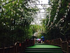 -陶祖圣境风景区