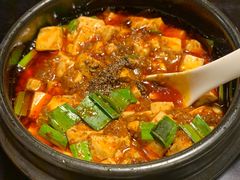 -陈麻婆豆腐总店