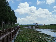 -太湖湖滨国家湿地公园-停车场