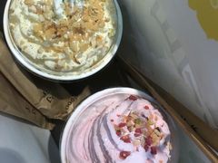 -雾与山茶(大禹城店)