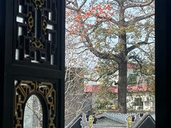 -碧江金楼