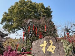 -无锡梅园公园