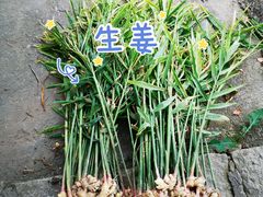 -花岙岛