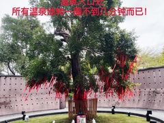 -广州从化都喜泰丽度假酒店温泉