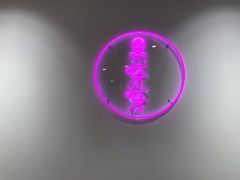 -果呀呀(凯德广场店)