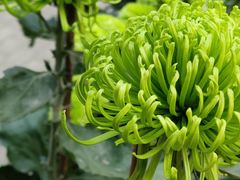 -共青国家森林公园-售票处