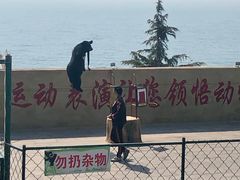 -东方熊牧场