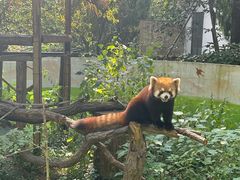 -杭州少年儿童公园