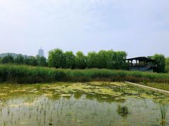 -永定河休闲森林公园