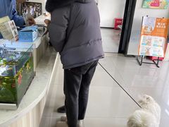 -宠颐生动物医院·小陆分院