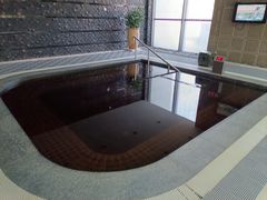 -和园景逸大酒店朗月汤泉