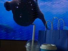 -抱抱地球咖啡馆(国家海洋博物馆店)