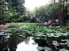 -人民公园-相亲角