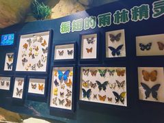 -MR.ZOO小小动物元室内动物园(沈阳沈河盛京中心)