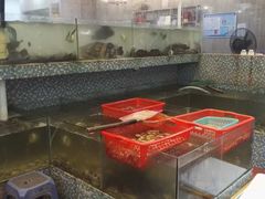 -巽寮印象美食部落餐厅·海鲜·地方特色菜(惠州体验店)