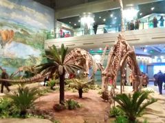 -自贡恐龙博物馆