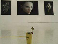 -当当梅溪书院(步步高梅溪新天地店)