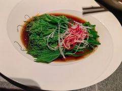 白灼丝瓜尖-马旺子·川小馆