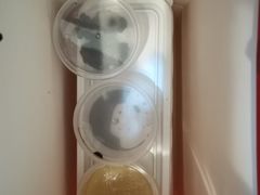 -柴门头啖汤·经典川菜·慢火汤品(锦城万达店)