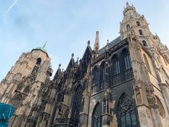 -斯蒂芬主教座堂(Stephansdom)