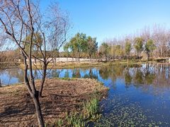-东郊湿地公园