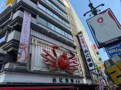 -蟹道乐(道顿堀本店)