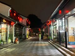 -运河游船(武林门码头)