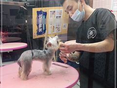 -FAELING PETS美天灵宠物(富力广场店)