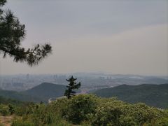 -惠山国家森林公园