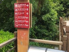 -大湾区中央湿地公园