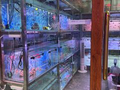 -大自然花鸟鱼虫市场