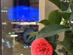 -皇朝万鑫自助餐厅