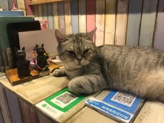 -小时光咖啡馆(开森度假森林店)