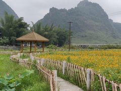 -靖西鹅泉风景区