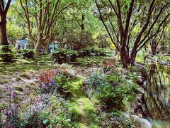 -上海共青森林公园