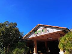 -兴隆槟榔园休闲农庄