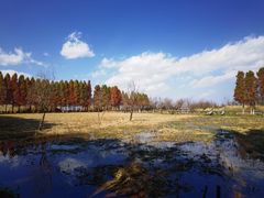 -捞渔河湿地公园