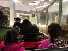 -悉尼海洋生物水族馆